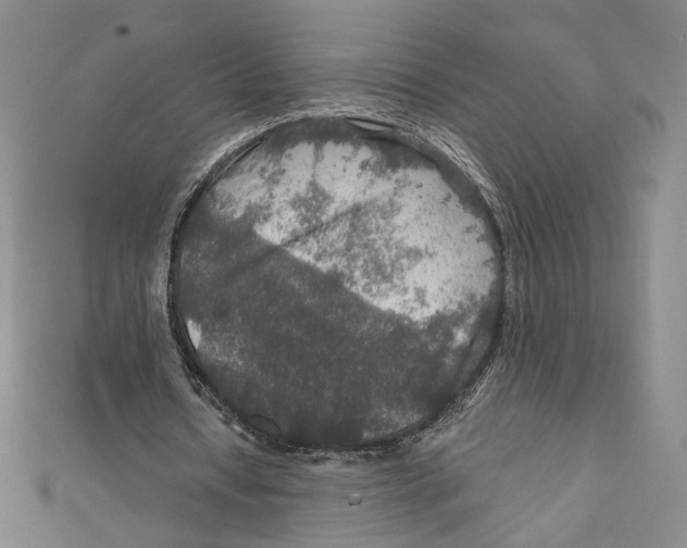 X0000112020434200908311158