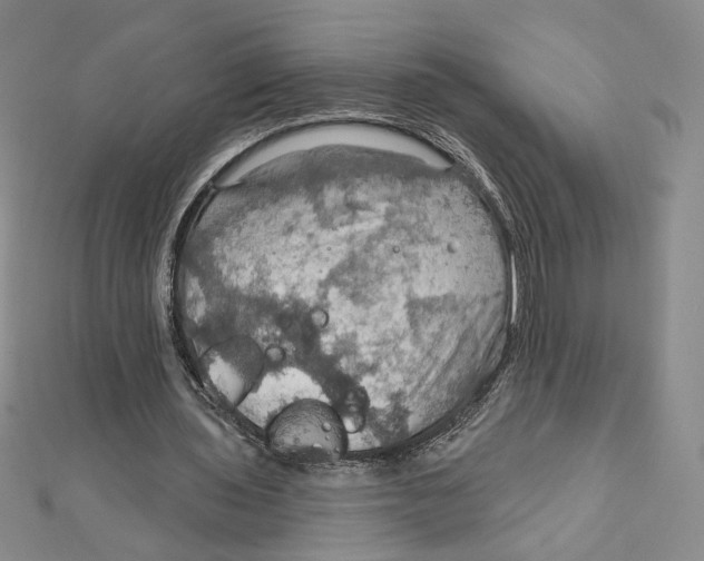 X0000112020435200908311158