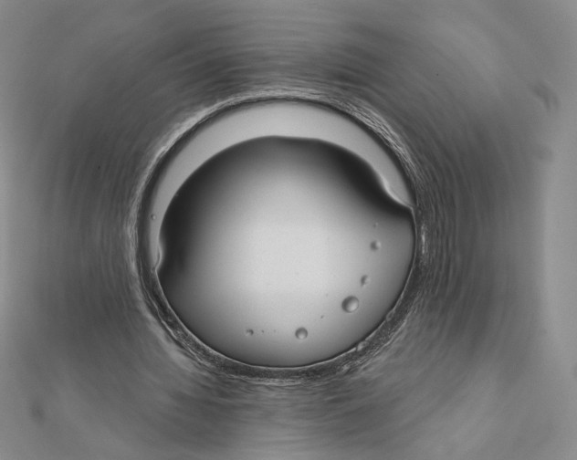 X0000112020436200908311158