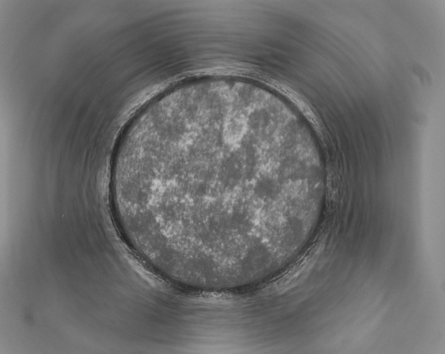 X0000112020437200908311158