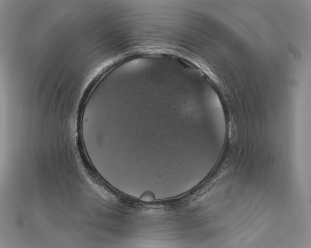 X0000112020438200908311158