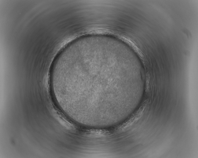 X0000112020439200908311158