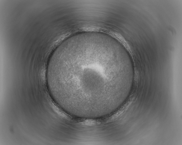 X0000112020441200908311158