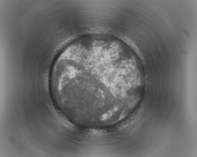 X0000112020442200908311158