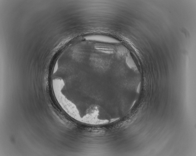 X0000112020443200908311158