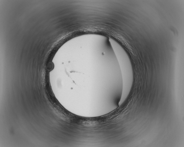 X0000112020444200908311158