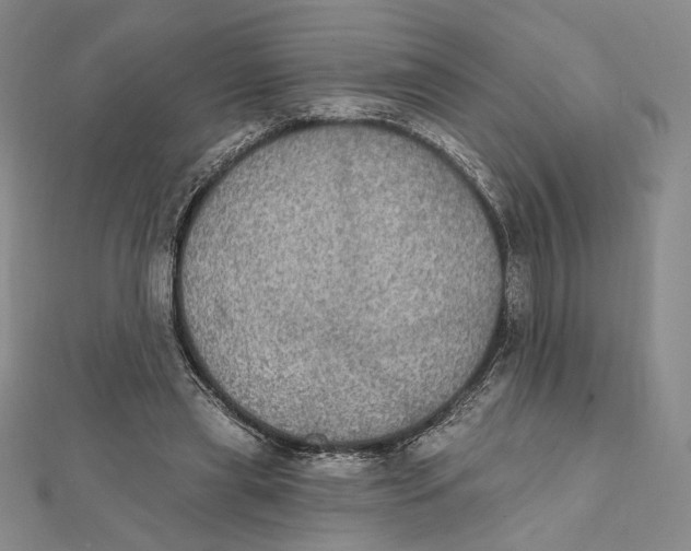 X0000112020445200908311158