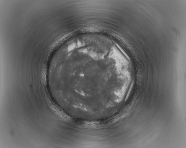 X0000112020446200908311158