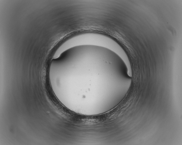 X0000112020448200908311158