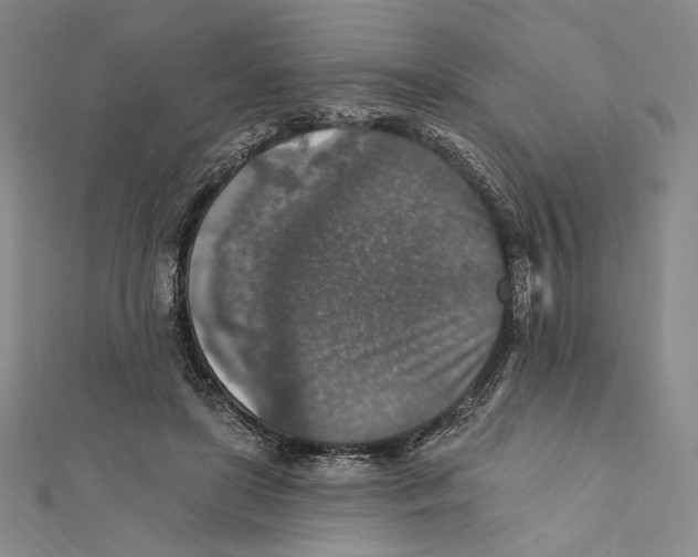 X0000112020451200908311158