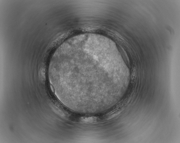 X0000112020452200908311158