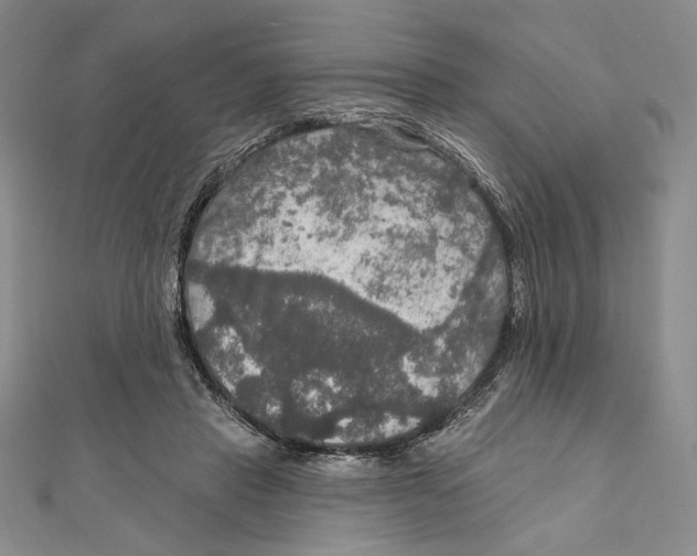 X0000112020453200908311158