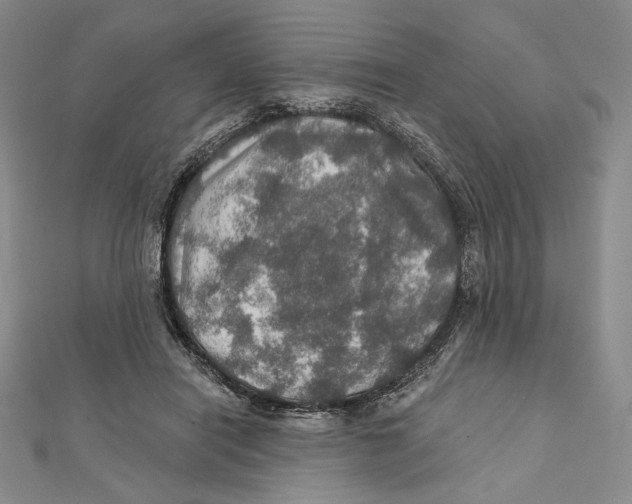 X0000112020454200908311158