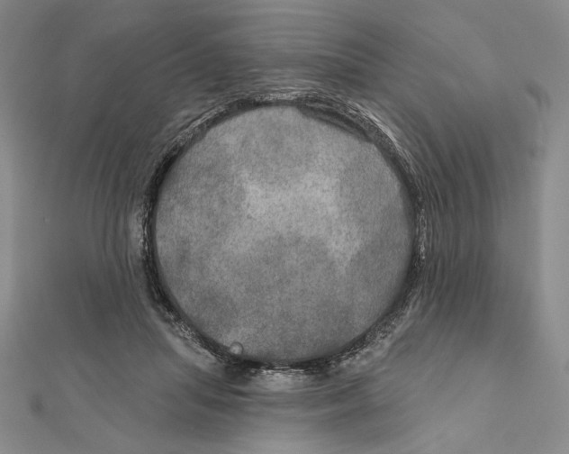 X0000112020455200908311158