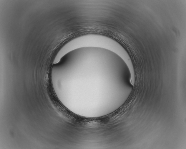 X0000112020456200908311158