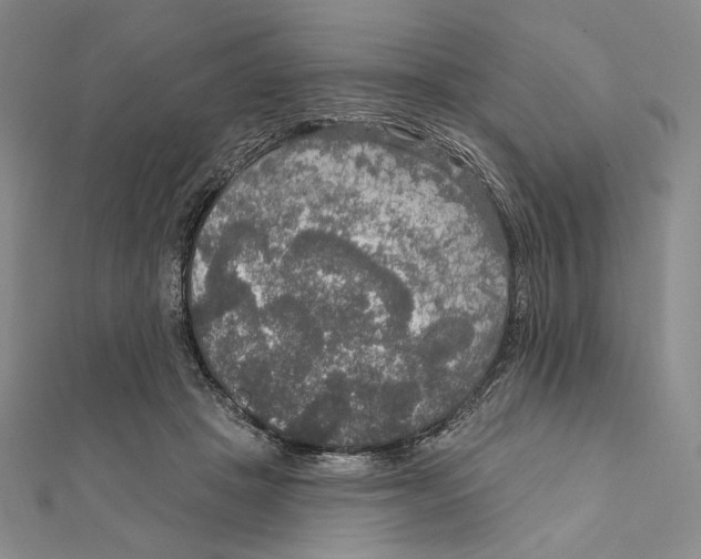 X0000112020457200908311158