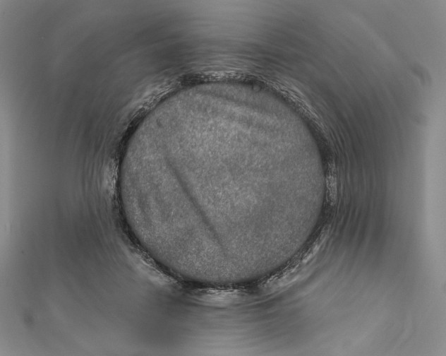 X0000112020458200908311158