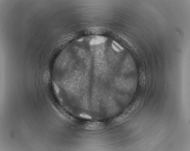 X0000112020459200908311158