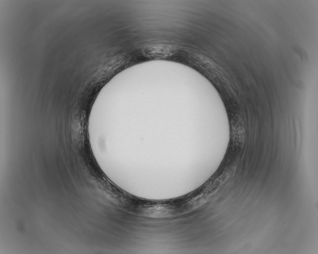 X0000112020460200908311158