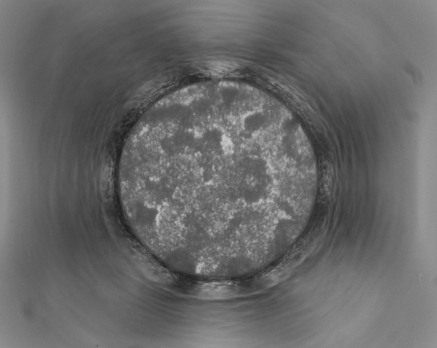 X0000112020461200908311158