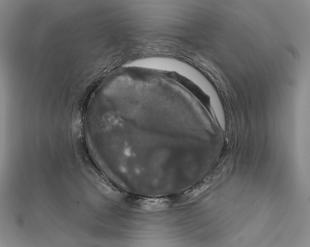 X0000112020465200908311158