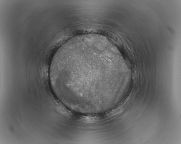 X0000112020466200908311158