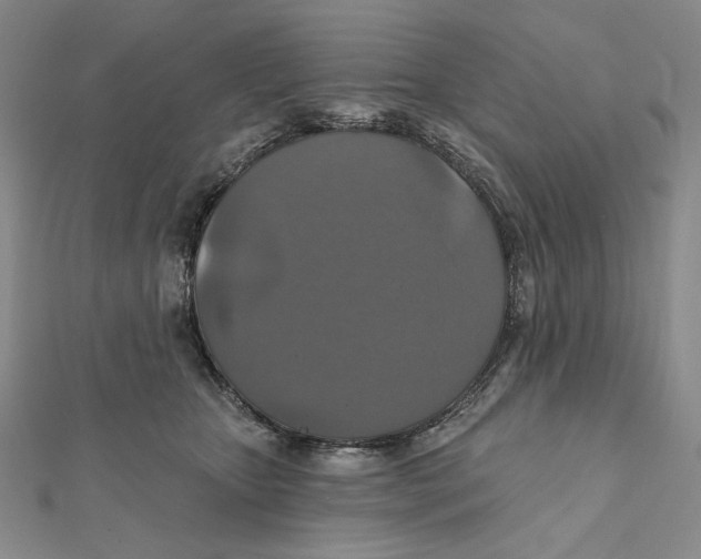 X0000112020467200908311158