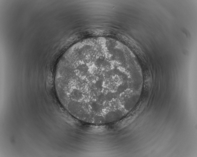 X0000112020469200908311158