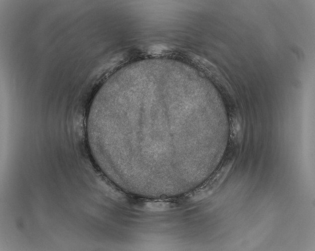 X0000112020470200908311158