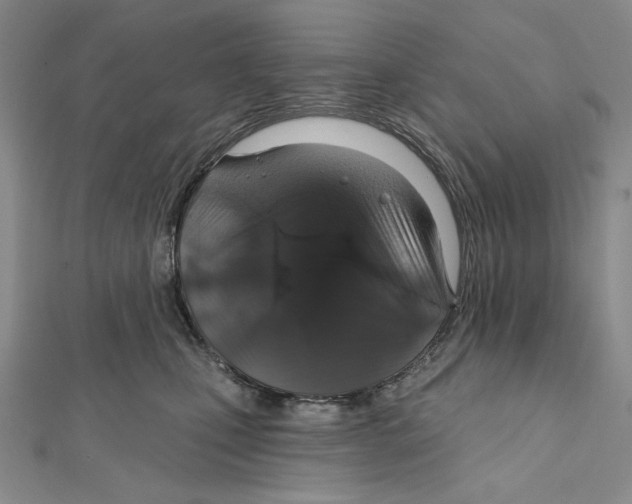 X0000112020471200908311158