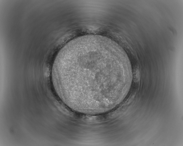 X0000112020472200908311158