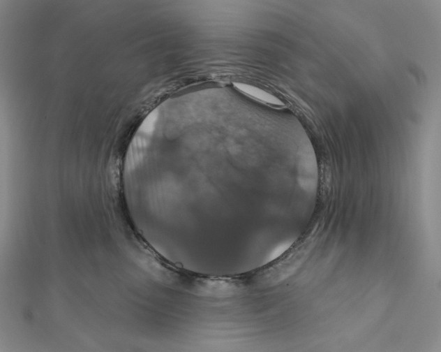 X0000112020475200908311158