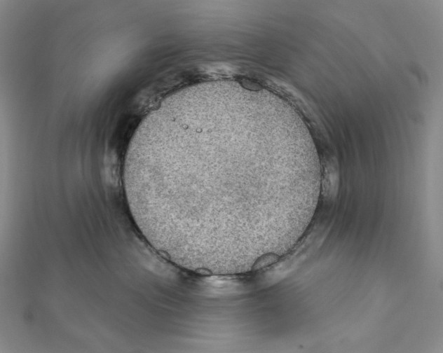 X0000112020477200908311158