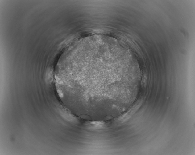 X0000112020478200908311158