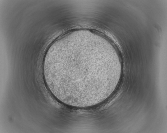 X0000112020481200908311158