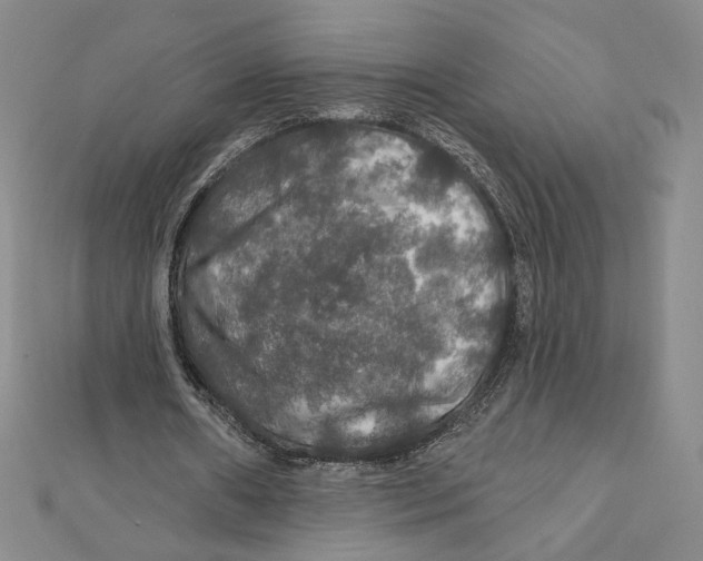 X0000112020482200908311158