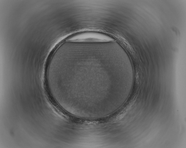 X0000112020484200908311158