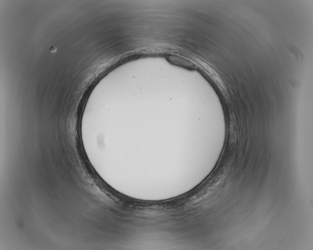 X0000112020485200908311158