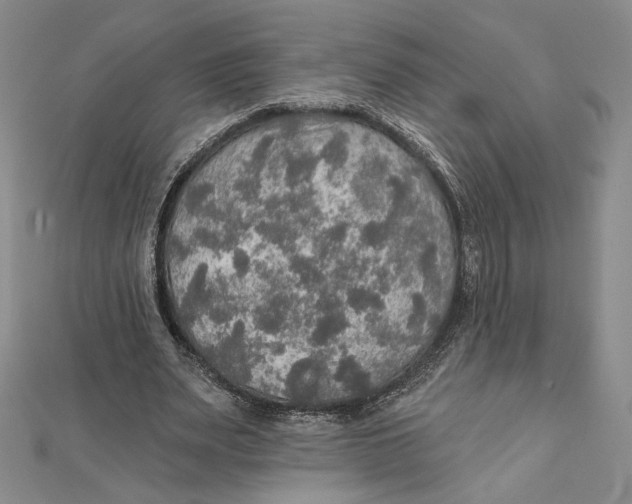 X0000112020487200908311157