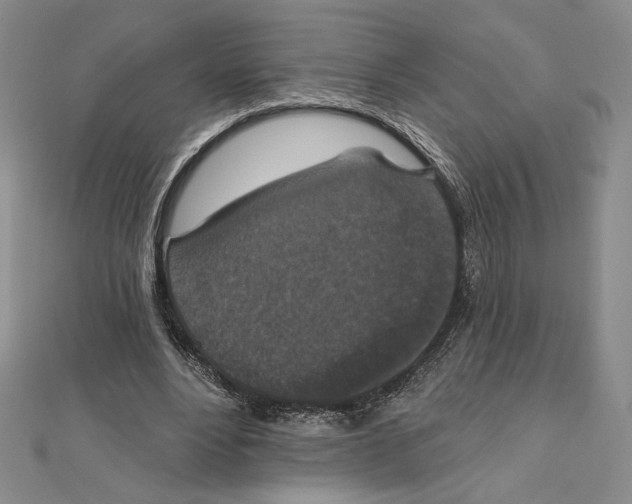 X0000112020488200908311157