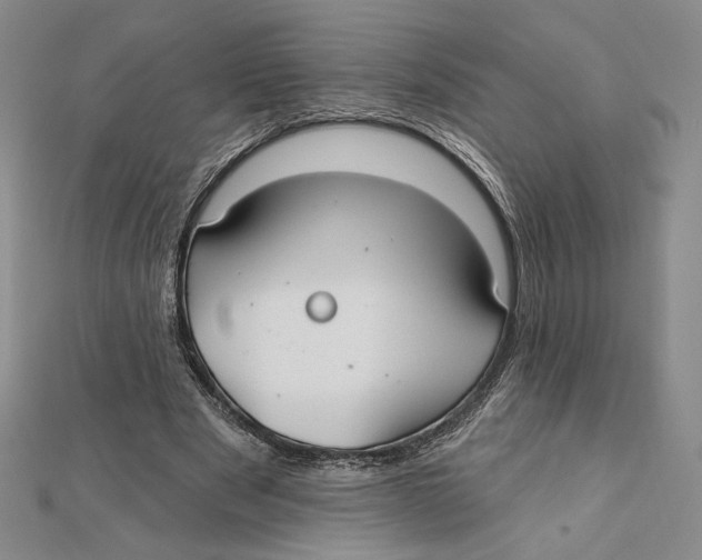 X0000112020489200908311157