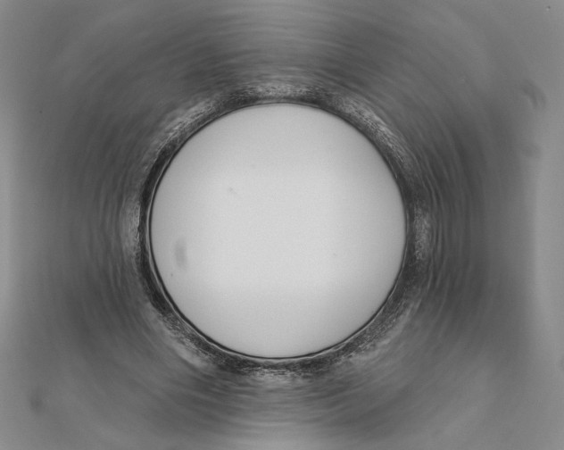 X0000112020490200908311157