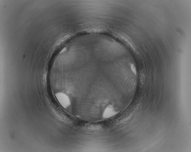 X0000112020491200908311157