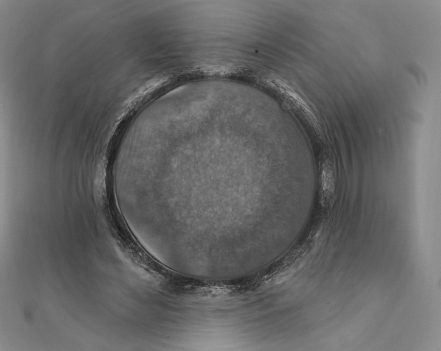 X0000112020492200908311157