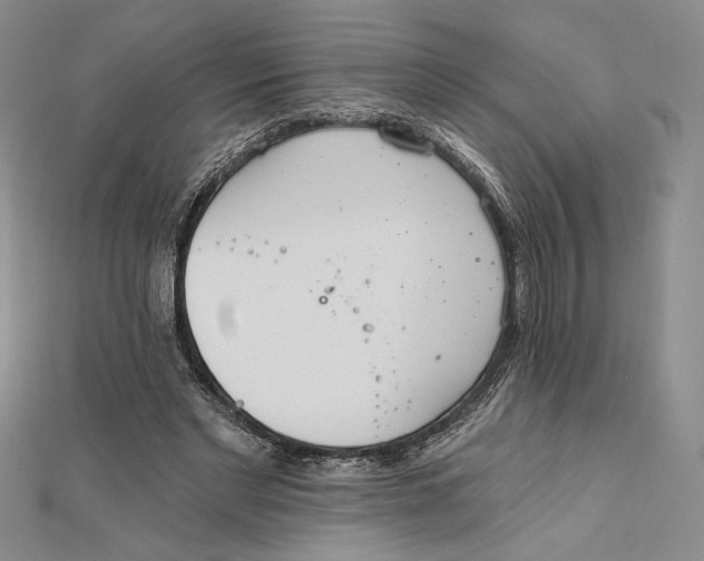 X0000112020493200908311157