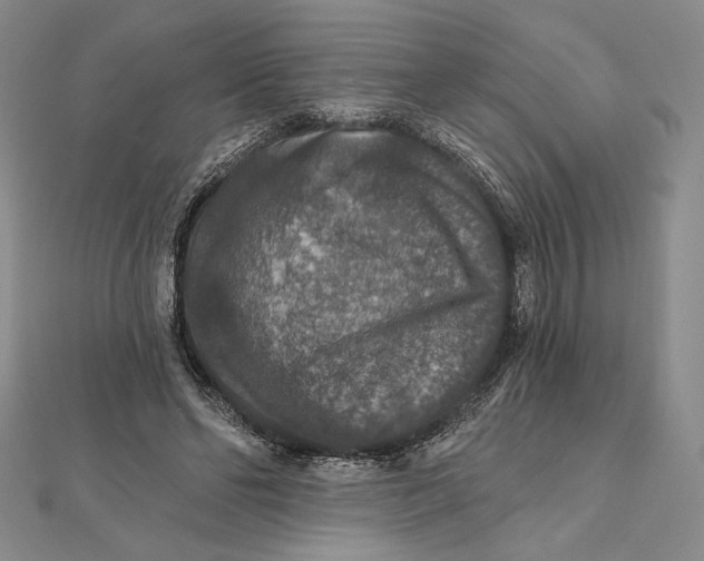 X0000112020494200908311157