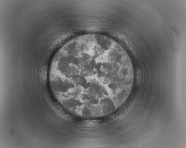 X0000112020495200908311157