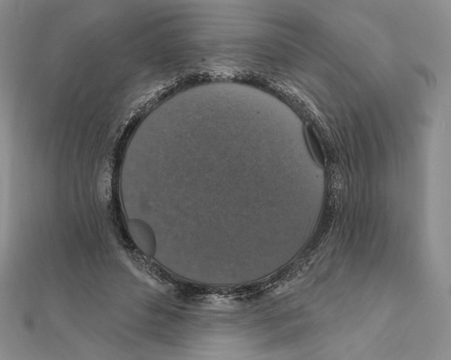 X0000112020496200908311157