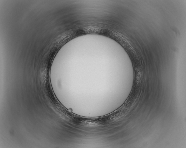 X0000112020498200908311157