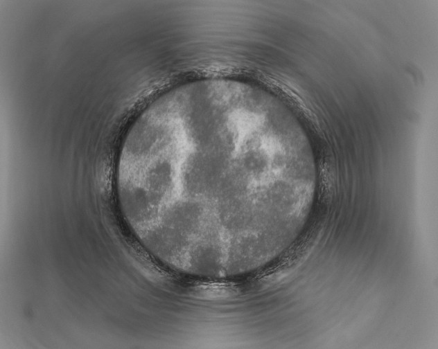 X0000112020499200908311157